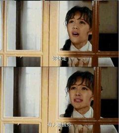 国产对白视频,本土文化的魅力与共鸣